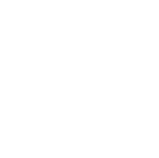 financial report icon